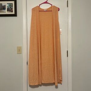 LulaRoe Joy